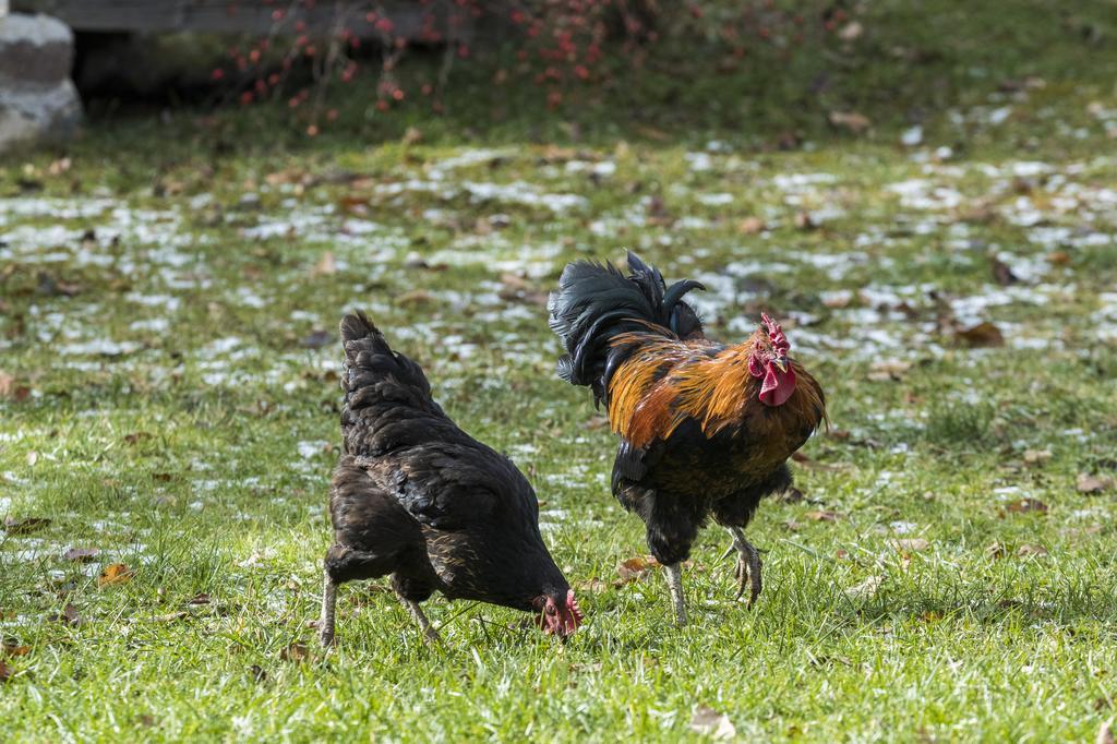 Agritur Ciasa Do Pare Βίλα Soraga Εξωτερικό φωτογραφία