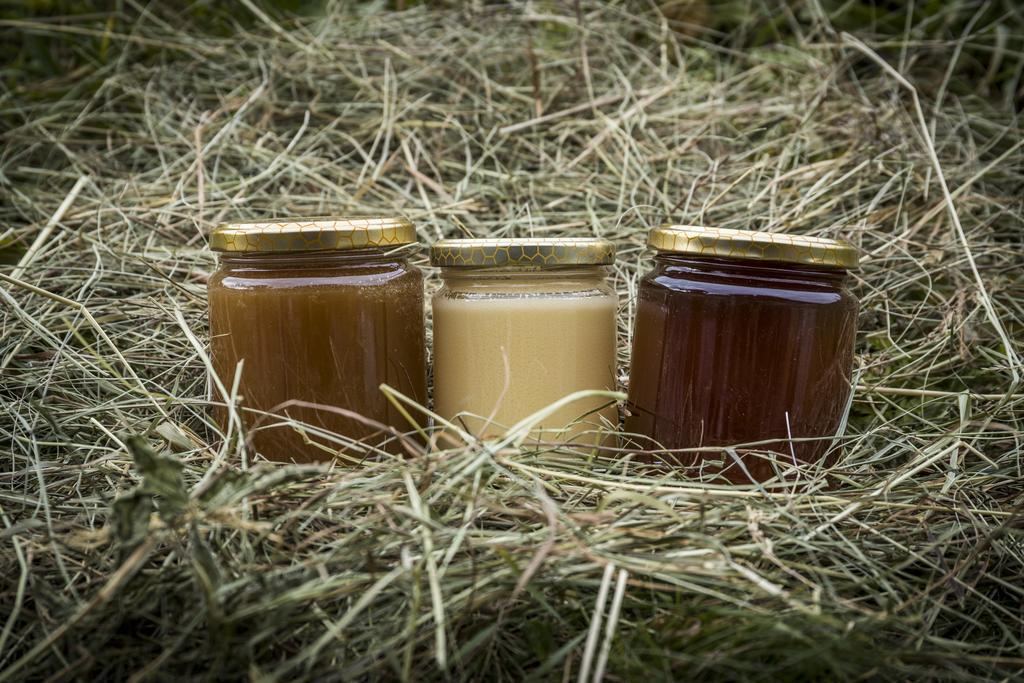 Agritur Ciasa Do Pare Βίλα Soraga Εξωτερικό φωτογραφία